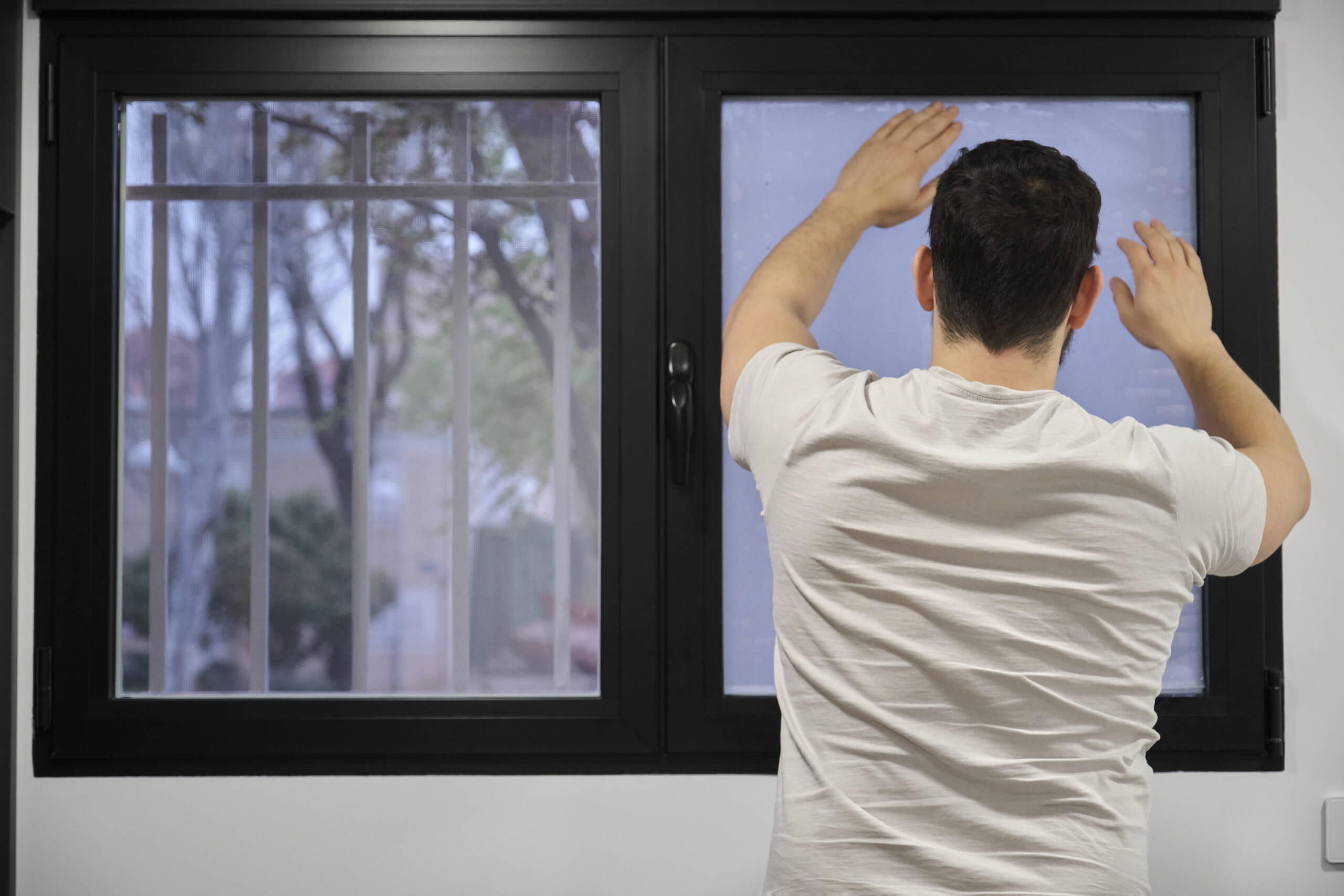 Residential Window Tinting